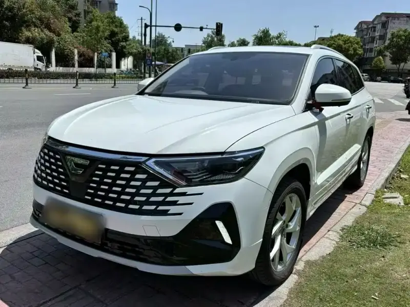 Jetta VS7, 2025