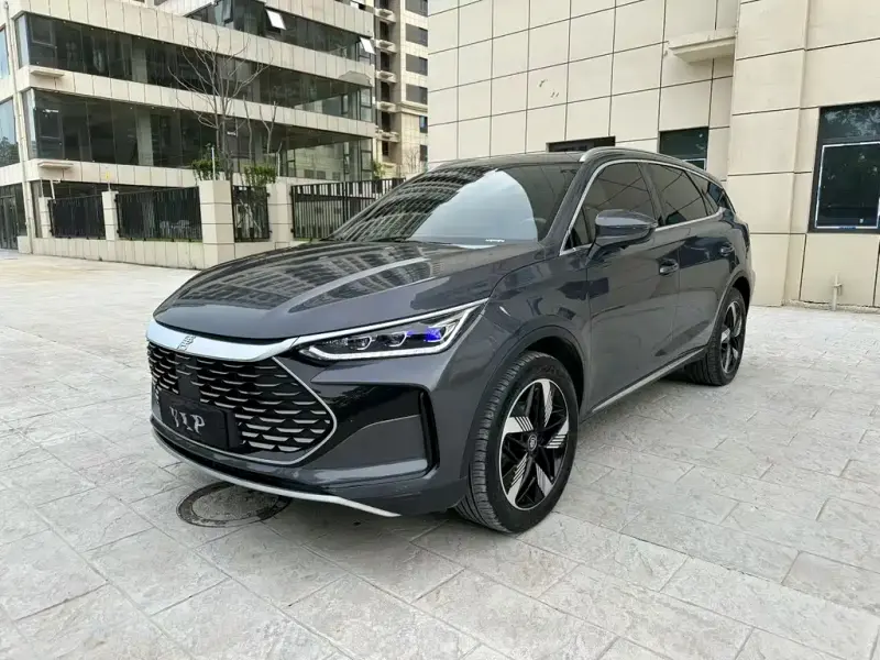 BYD Tang New Energy, 2024