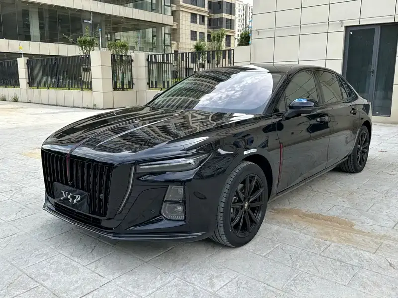 Hongqi H5, 2025