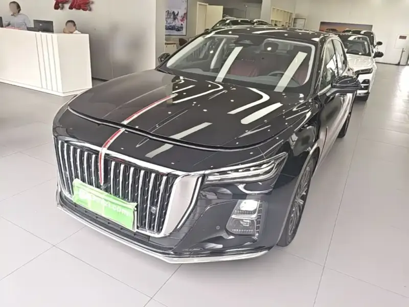 Hongqi H5, 2024