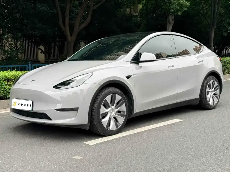 Tesla Model Y, 2021