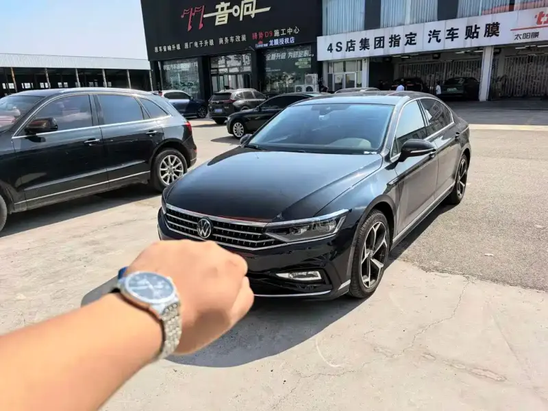 Volkswagen Magotan, 2024