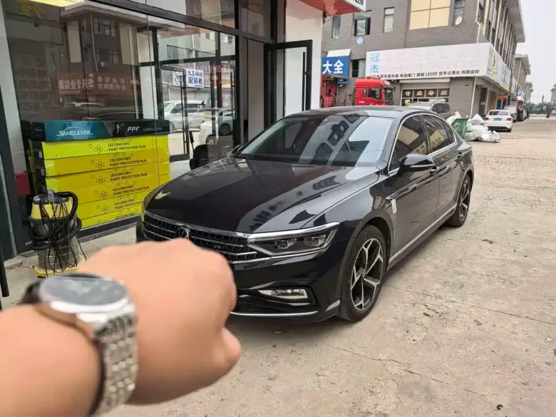 Volkswagen Magotan, 2024