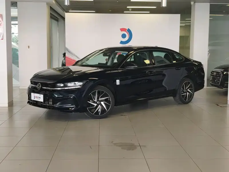 Volkswagen Magotan, 2024