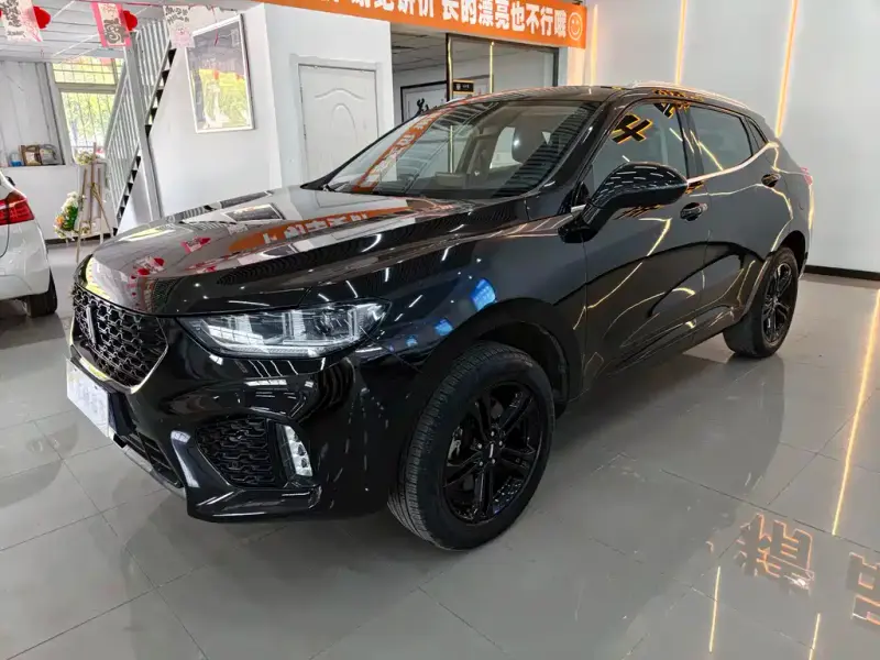 Wey VV5, 2019