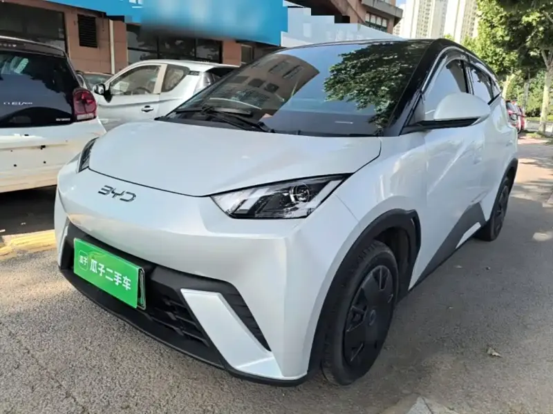 BYD Seagull, 2024