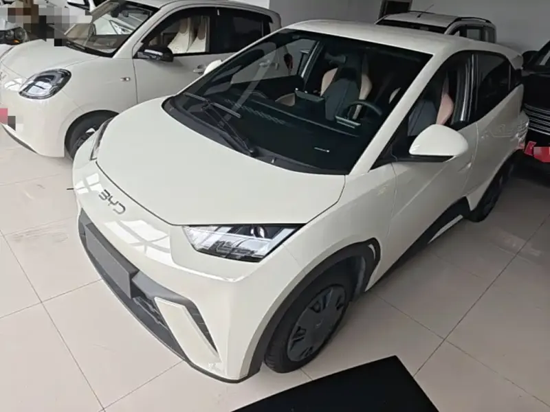 BYD Seagull, 2024