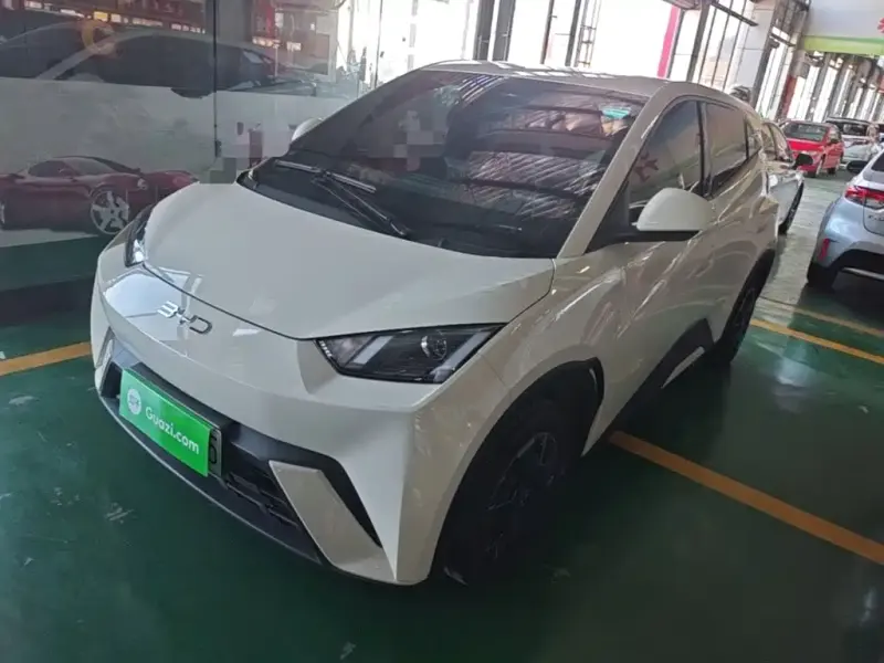 BYD Seagull, 2024