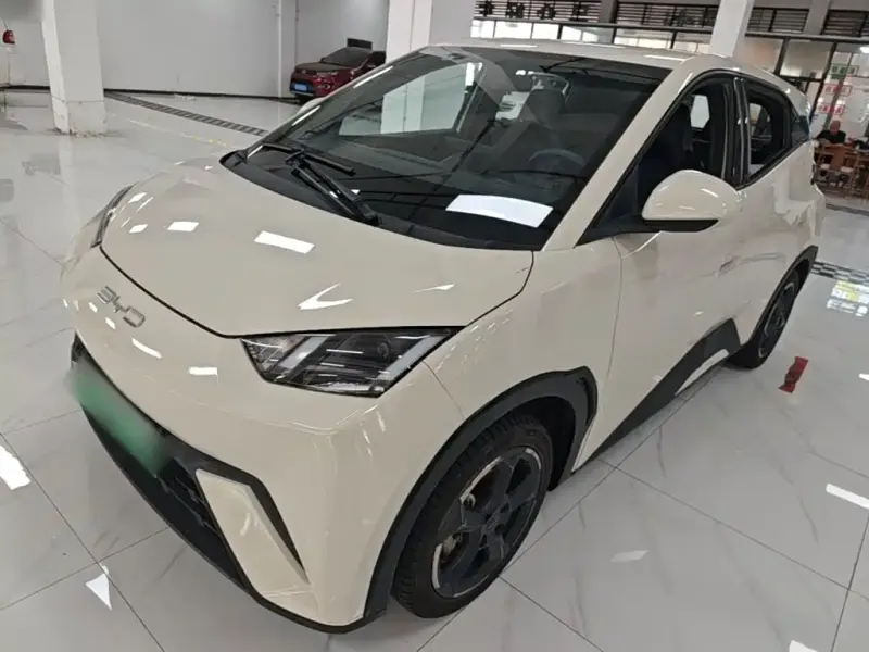 BYD Seagull, 2024