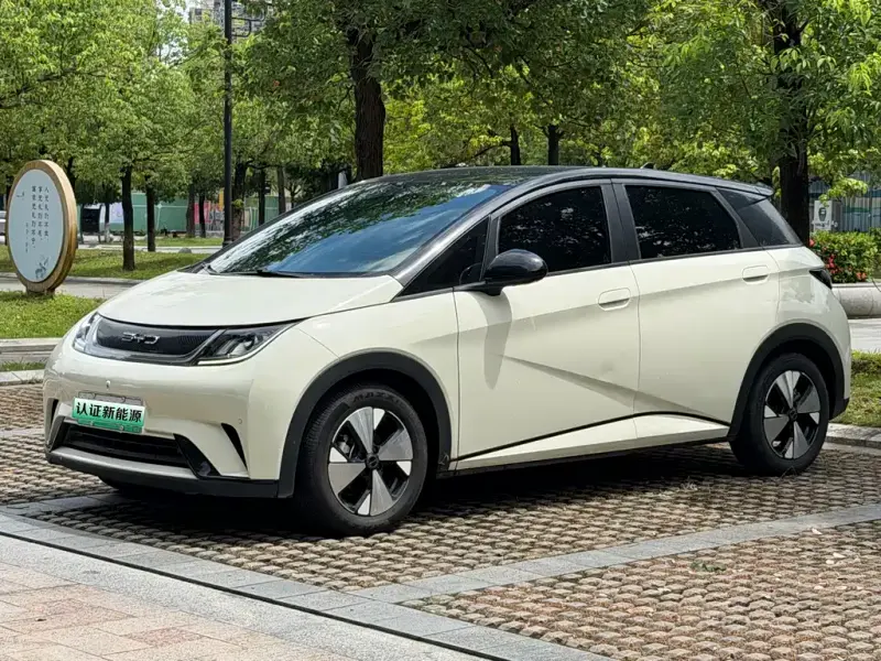 BYD Dolphin, 2024