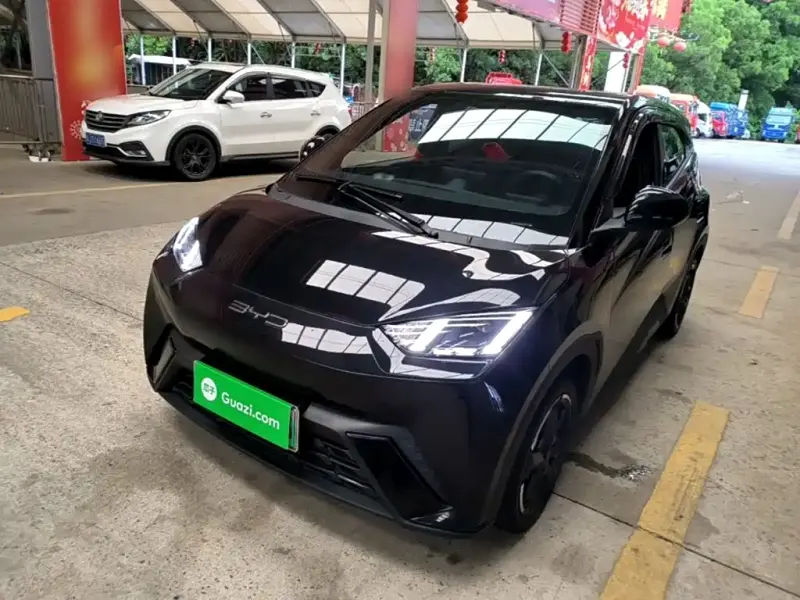 BYD Seagull, 2024