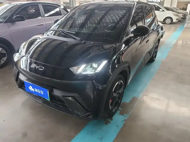 BYD Seagull, 2024