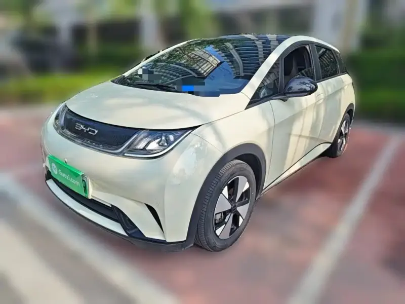 BYD Dolphin, 2024