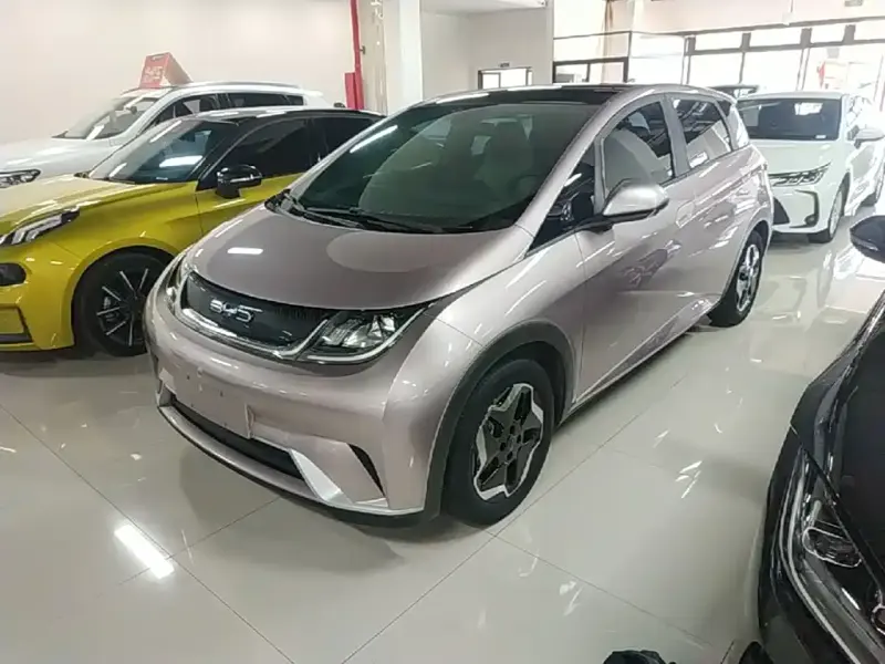 BYD Dolphin, 2022