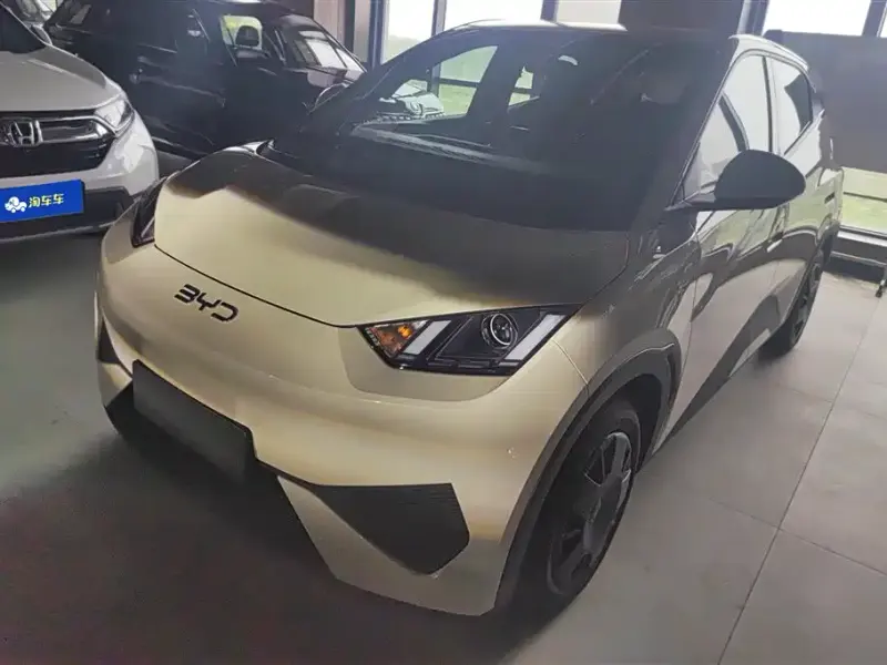 BYD Seagull, 2026