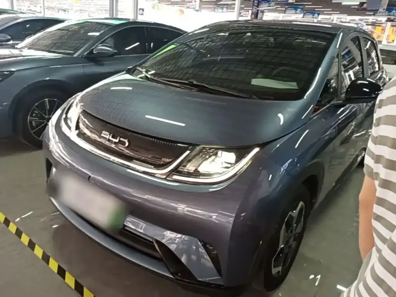 BYD Dolphin, 2024