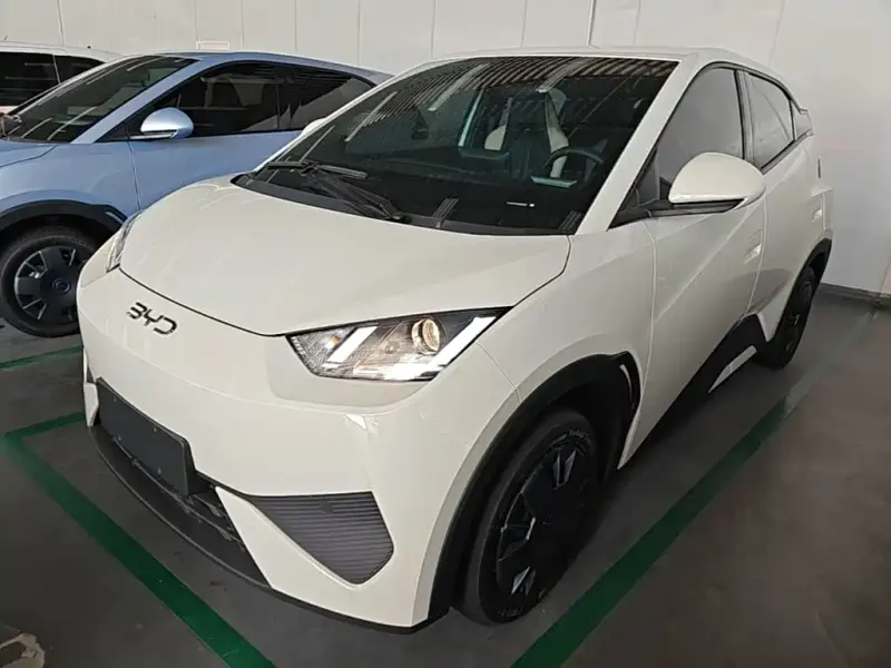 BYD Seagull, 2026