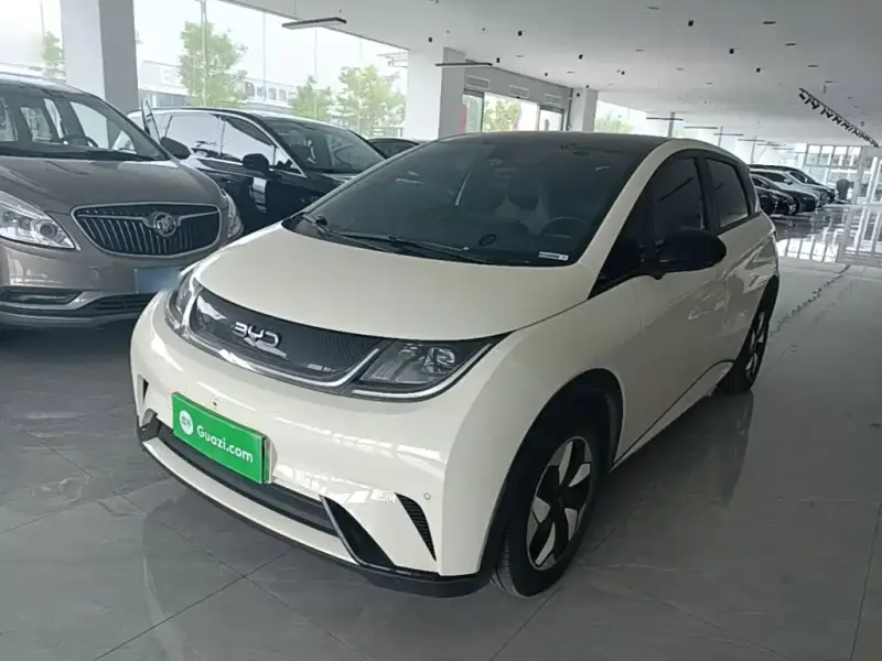 BYD Dolphin, 2024