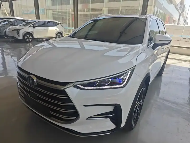 BYD Tang New Energy, 2021