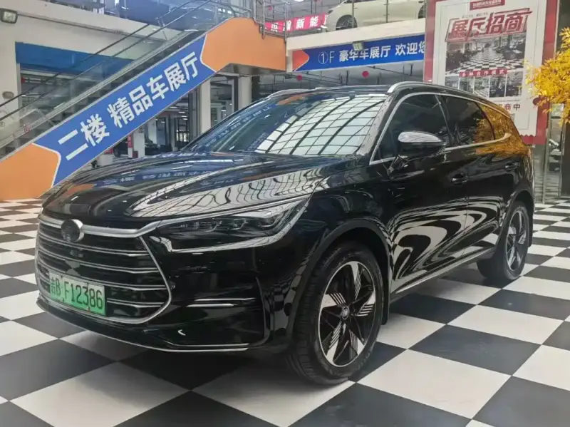 BYD Tang New Energy, 2024