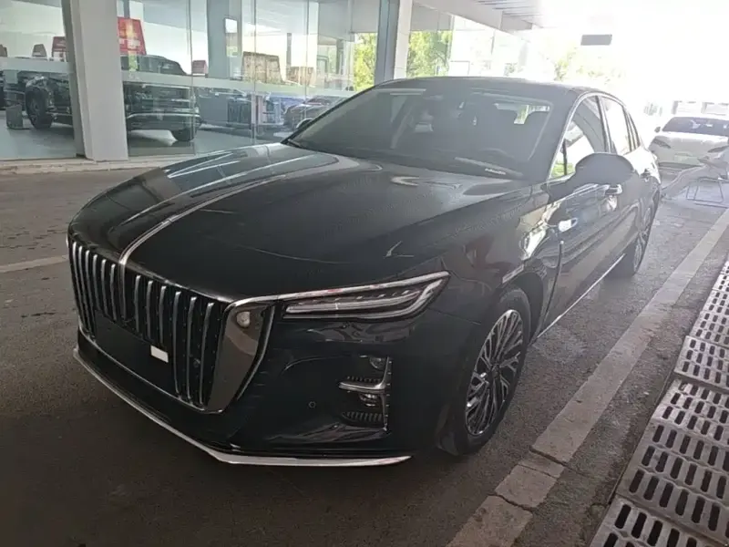 Hongqi H5, 2024