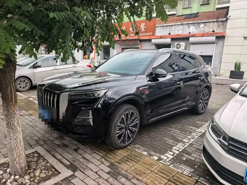 Hongqi HS5, 2024