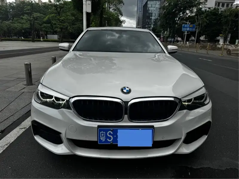 BMW 5 Series, 2019