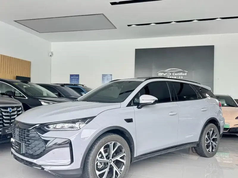 BYD Tang New Energy, 2025