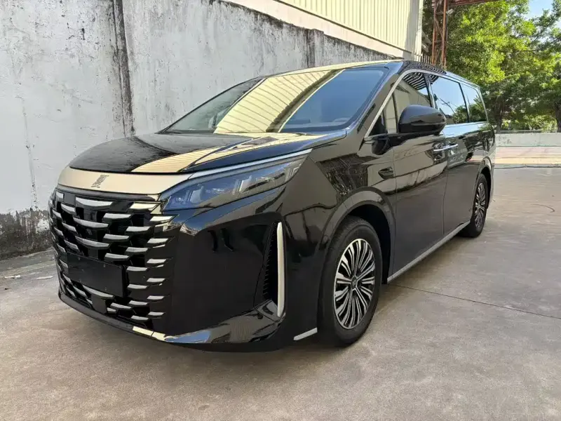 BYD Xia, 2025