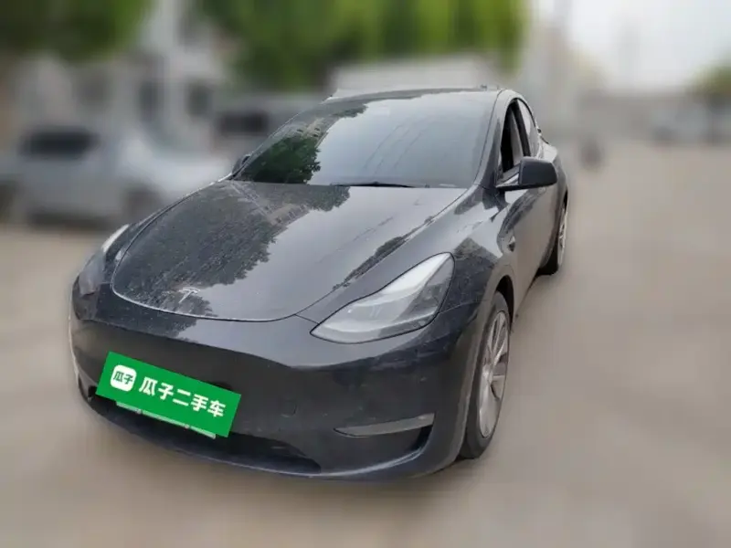 Tesla Model Y, 2021
