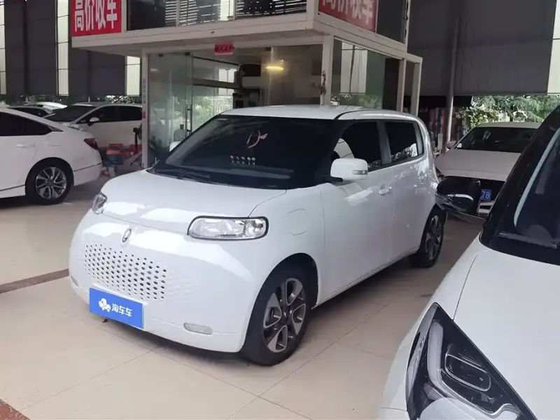 Ora White Cat, 2021