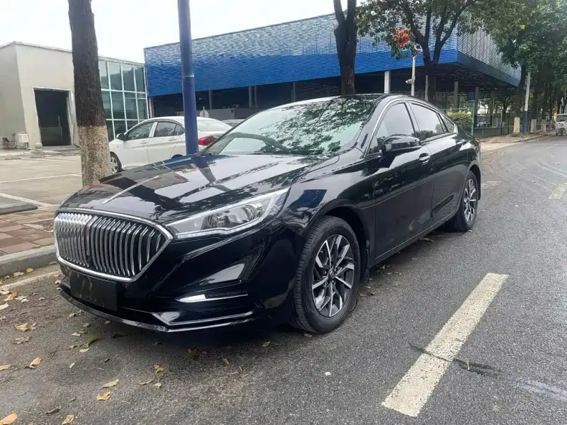 Hongqi H5, 2020