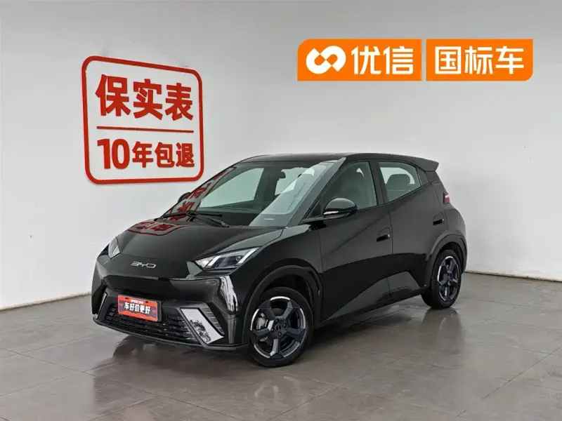 BYD Seagull, 2024