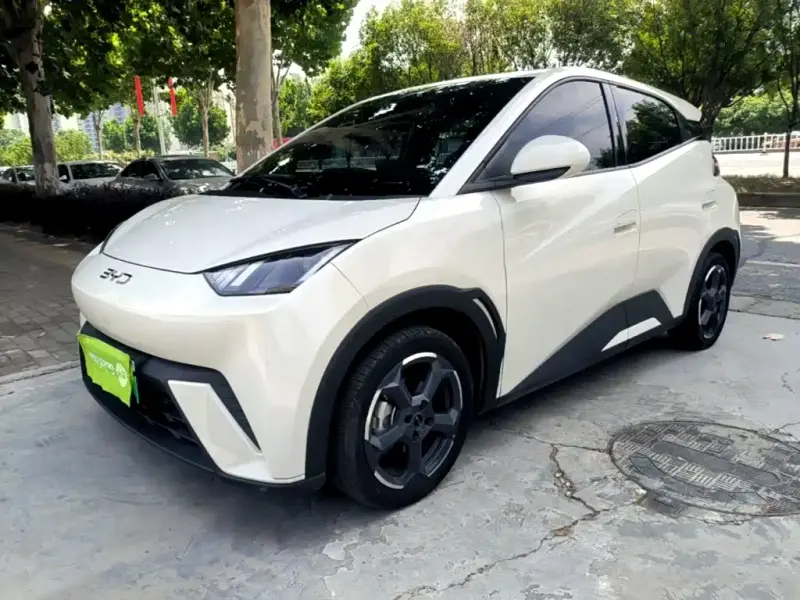 BYD Seagull, 2024