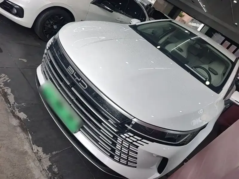 BYD Destroyer 05, 2024