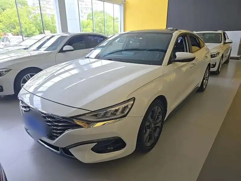 Hyundai Fista, 2019