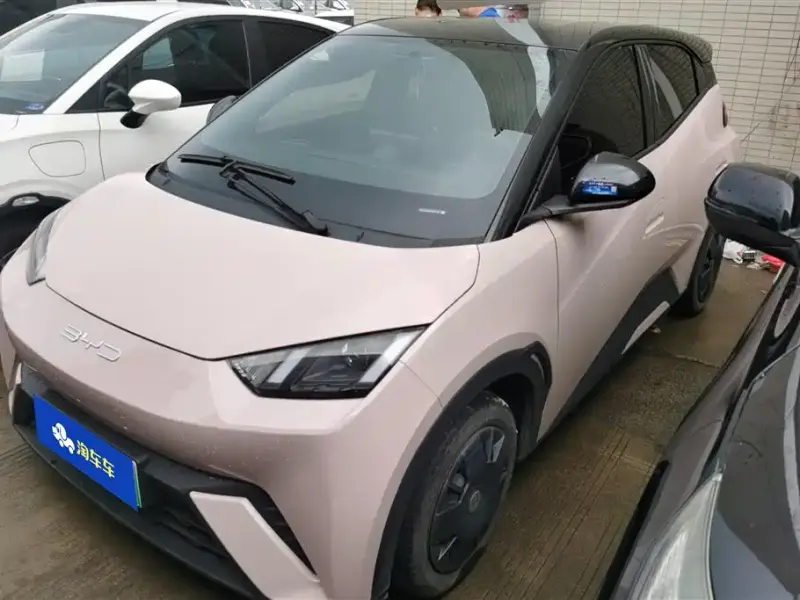 BYD Seagull, 2024