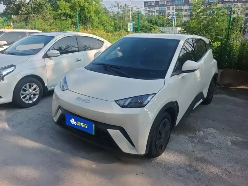 BYD Seagull, 2025