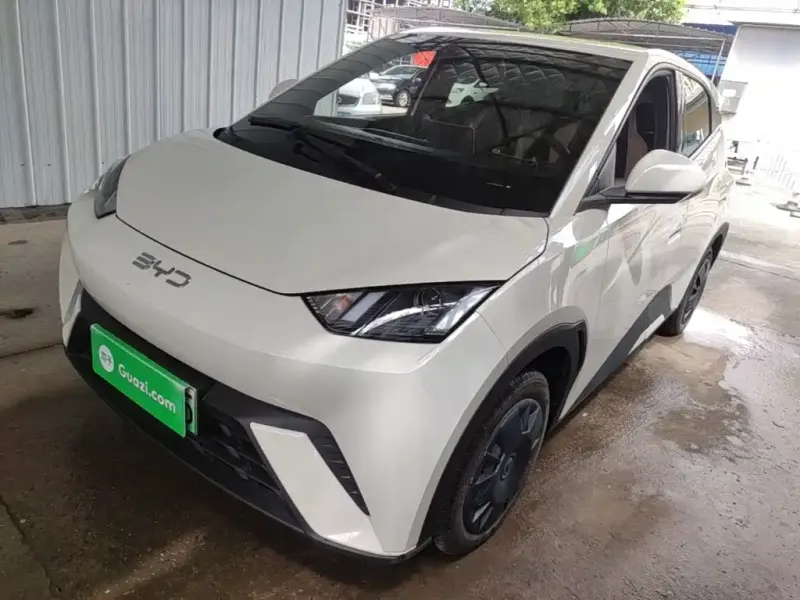BYD Seagull, 2025