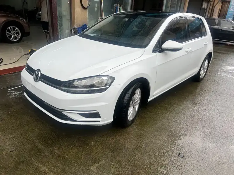 Volkswagen Golf, 2019