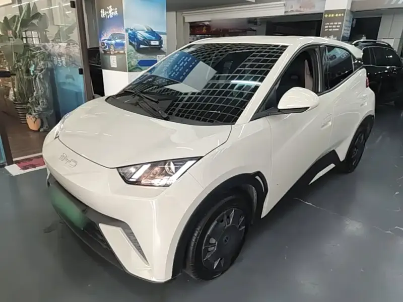 BYD Seagull, 2025