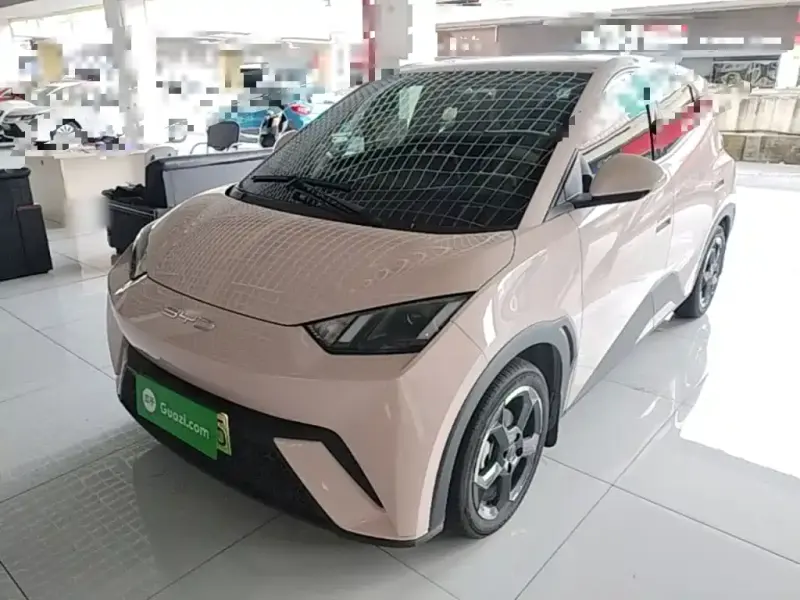 BYD Seagull, 2023