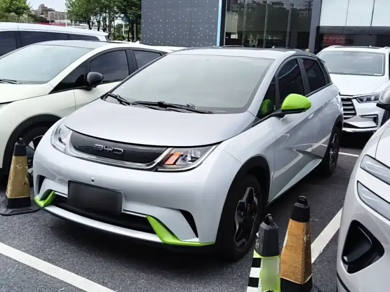 BYD Dolphin, 2022