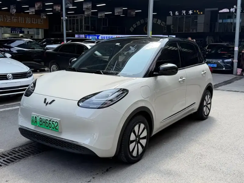 Wuling Bingo, 2025