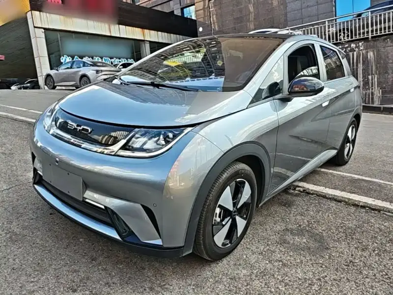 BYD Dolphin, 2023