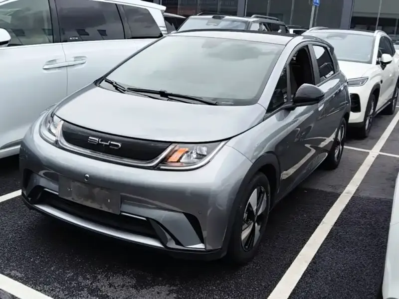 BYD Dolphin, 2023