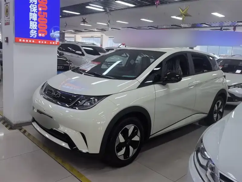 BYD Dolphin, 2026