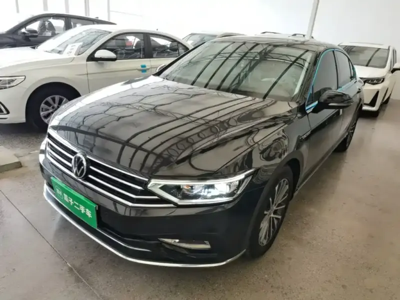 Volkswagen Magotan, 2021