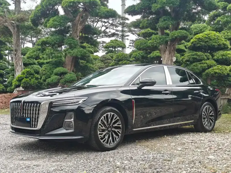 Hongqi H5, 2024