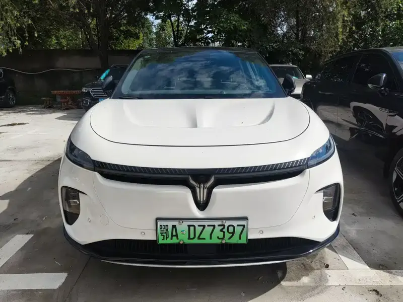 VOYAH Zhiyin, 2025
